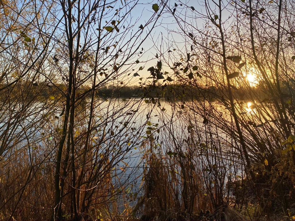 Naturlig Pa Korsgarden Glamping Nysted Kültér fotó